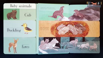 edukacyjna książka dla dzieci o zwierzętach po angielsku z okienkami
