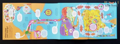 książka dla dzieci o ciele człowieka po angielsku z rozkładanymi stronami