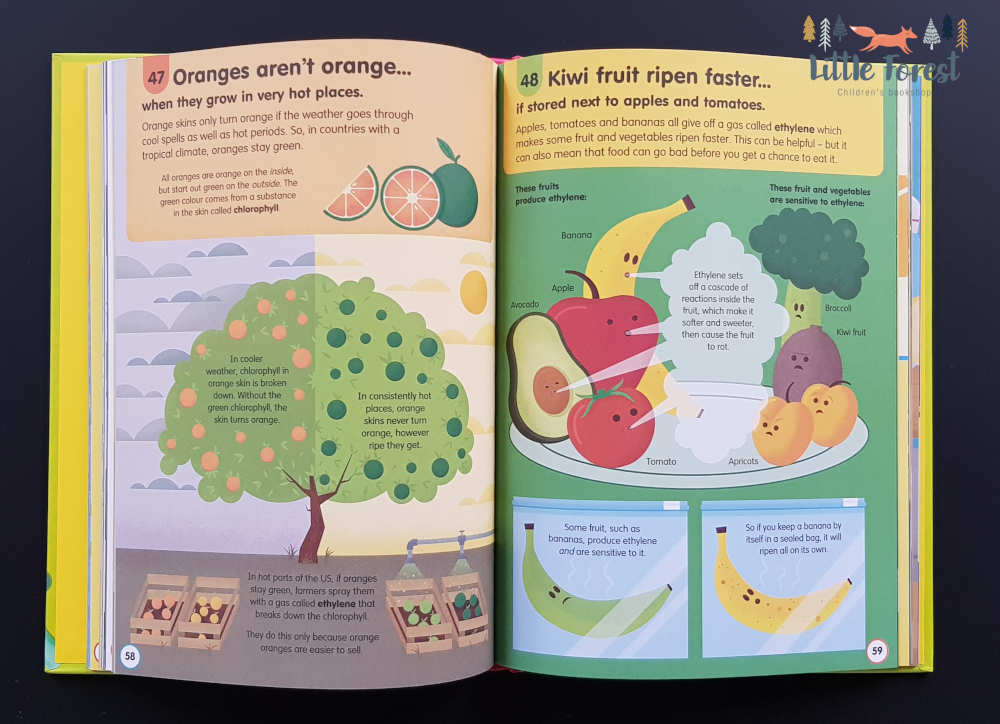 edukacyjna książka dla dzieci po angielsku o jedzeniu