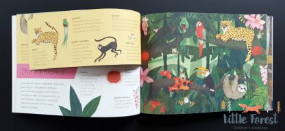 książka o zwierzętach dla dzieci po angielsku