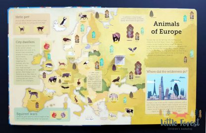 książka edukacyjna dla dzieci o zwierzętach z okienkami po angielsku