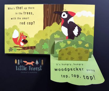 książka trójwymiarowa dla dzieci o zwierzętach po angielsku
