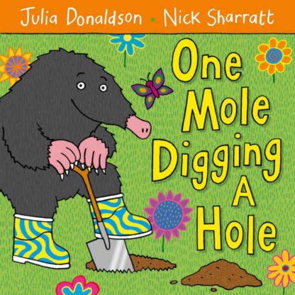 książka bajka do czytania dla dzieci po angielsku julia donaldson nick sharratt