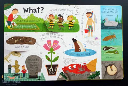 książka edukacyjna dla dzieci z okienkami po angielsku o przyrodzie i zwierzętach