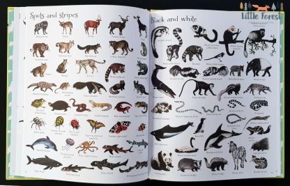 słownik obrazkowy o zwierzętach po angielsku