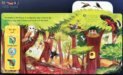 ksiązka ptaki dla dzieci