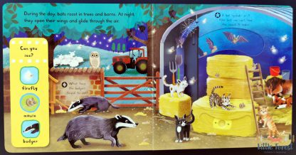 książka dla dzieci zwierzęta nocne sensoryczna po angielsku