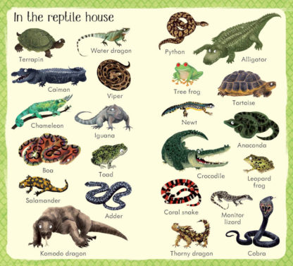 słownik obrazkowy dla dzieci po angielsku zwierzęta