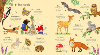 słownik obrazkowy dla dzieci język angielski usborne
