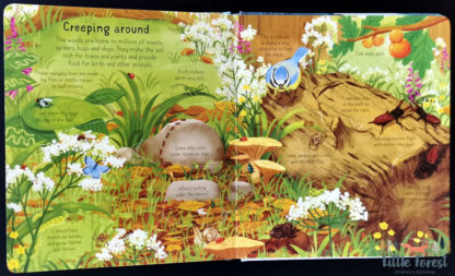 książki las przyroda dla dzieci