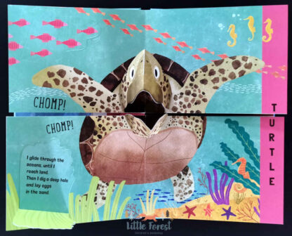 książka trójwymiarowa 3D dla dzieci zwierzęta ocean
