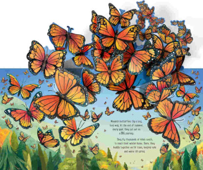 motyle książka dla dzieci 3D trójwymiarowe ilustracje