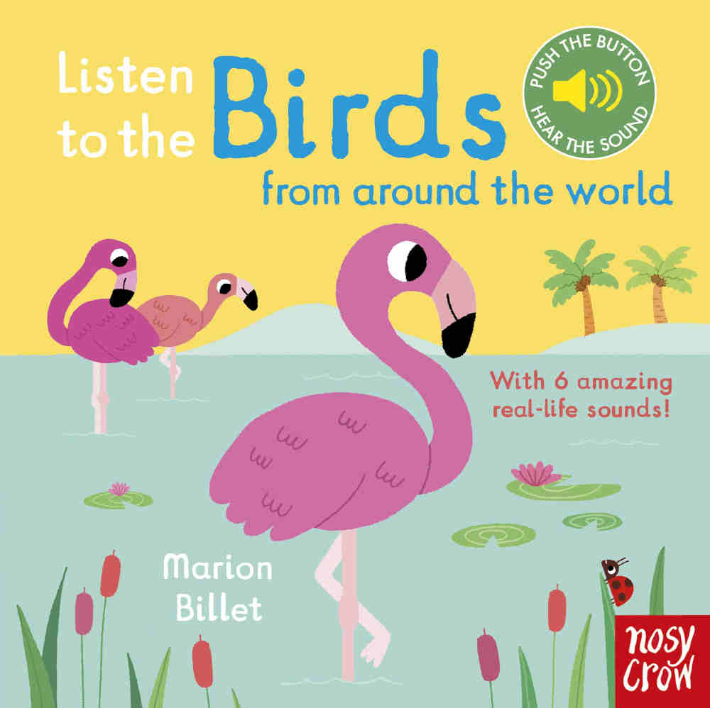 odgłosy ptaków książka dla dzieci