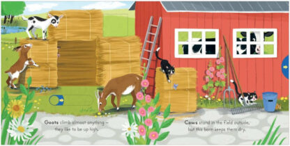 książka o farma dla małego dziecka po angielsku z ruchomymi ilustracjami