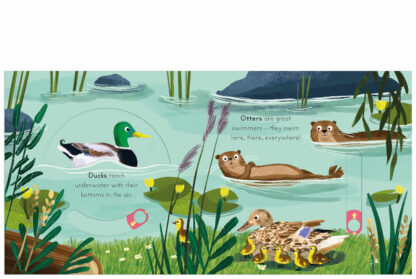 książka o przyrodzie dla małego dziecka po angielsku z ruchomymi ilustracjami