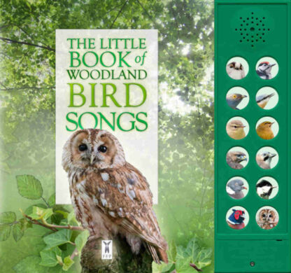 książka dla dzieci odgłosy ptaków z dźwiękiem