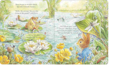 Piotruś królik książki dla dzieci po angielsku z okienkami