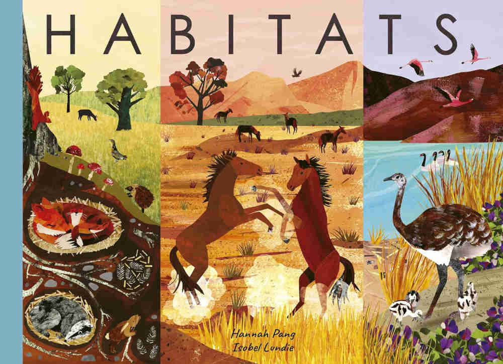kryjówki zwierząt i ich siedliska książka edukacyjna o przyrodzie dla dzieci po angielsku